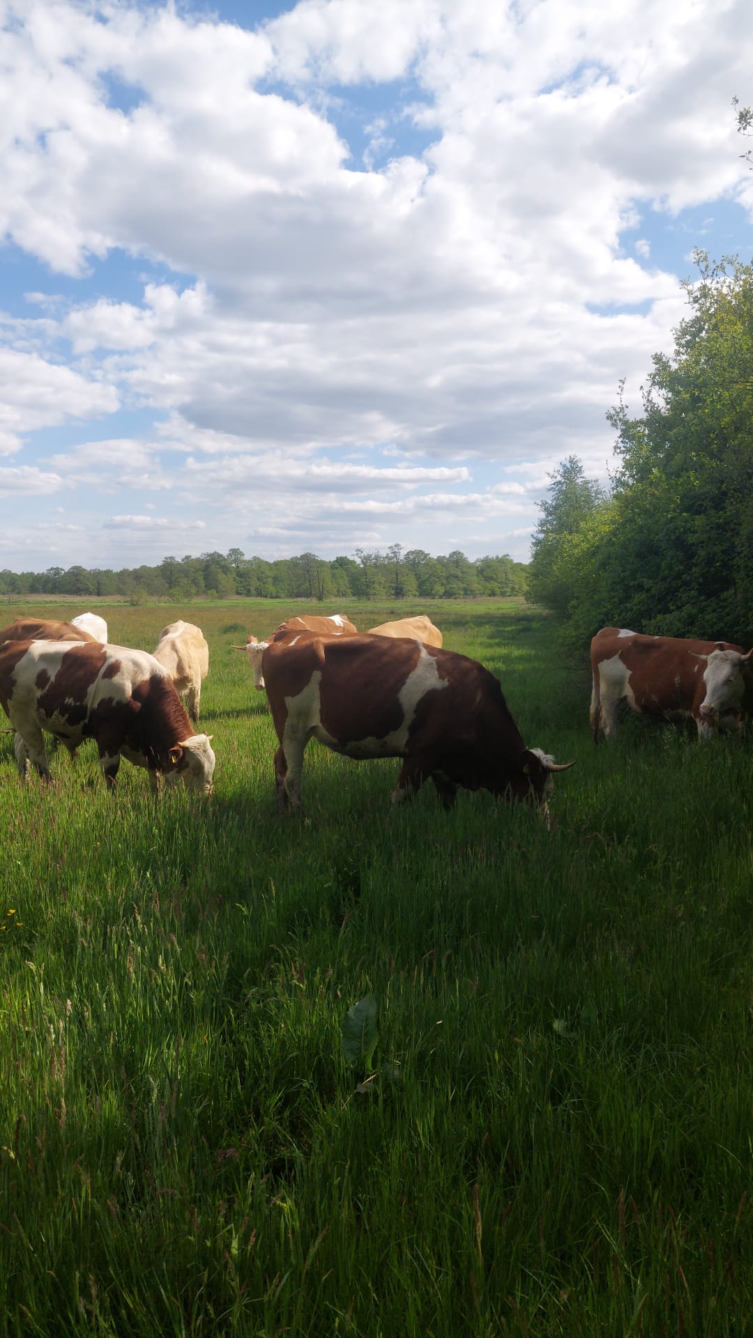 PHOTO 2025 05 08 20 55 04