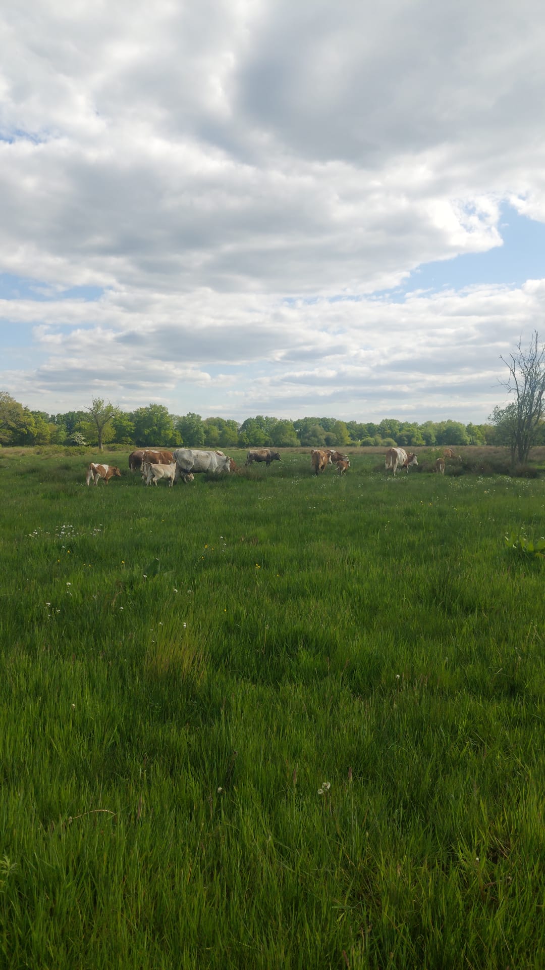 PHOTO 2025 05 08 20 55 04 2